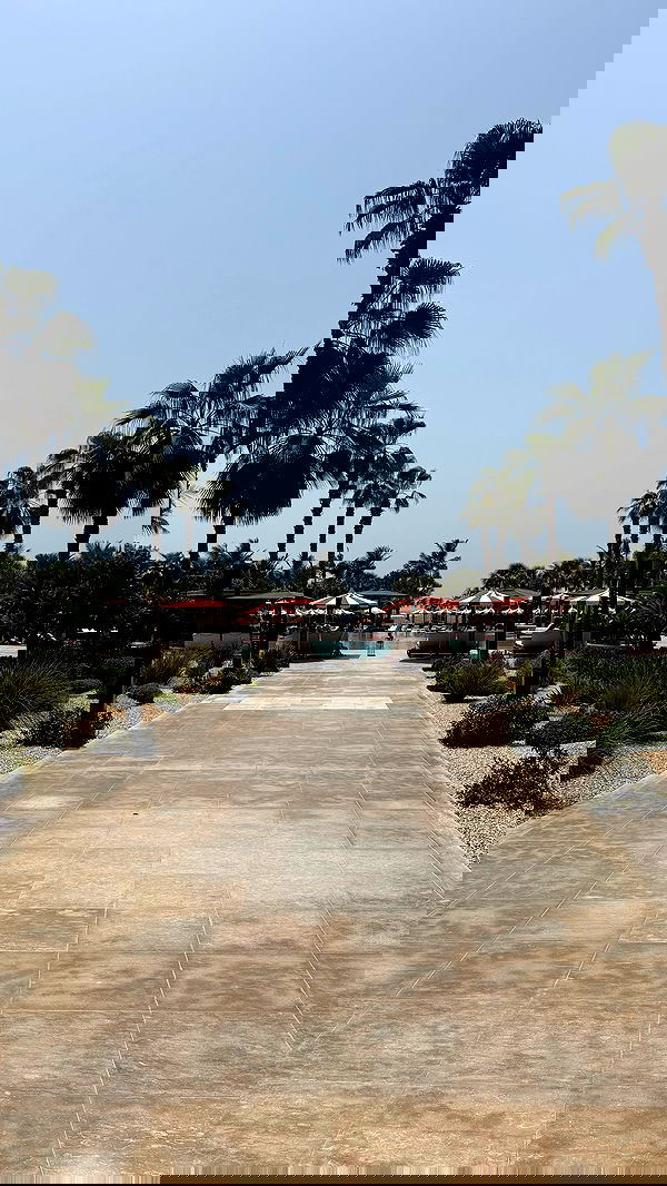 shira_adar_ shira_adar_ archive image