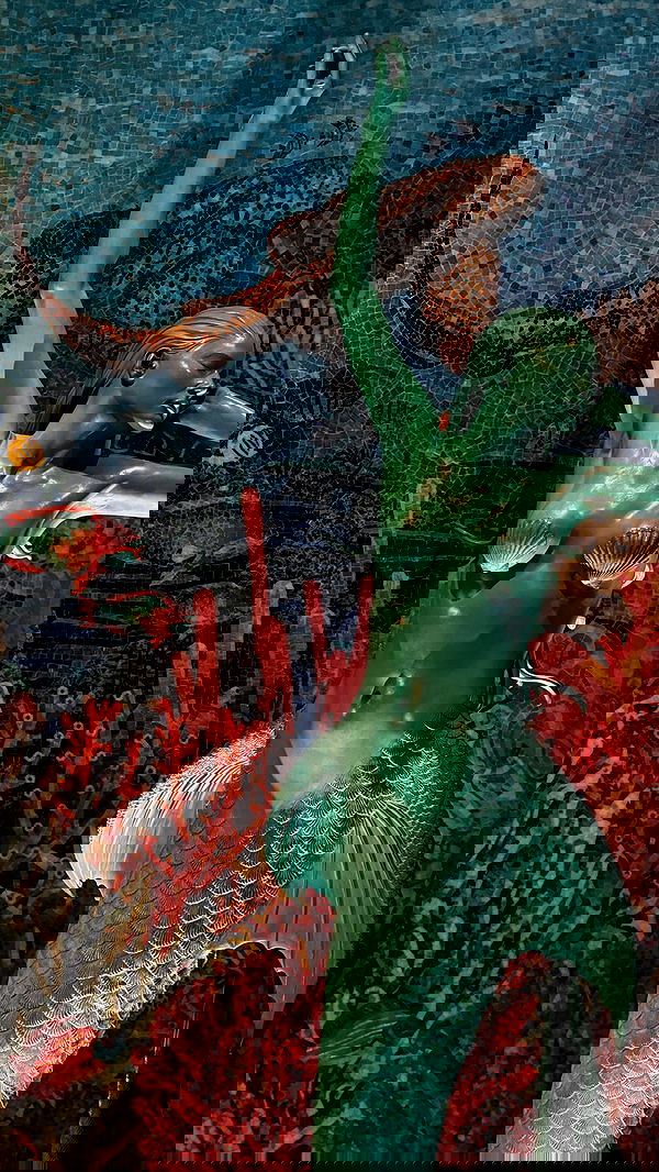 shira_adar_ shira_adar_ archive image