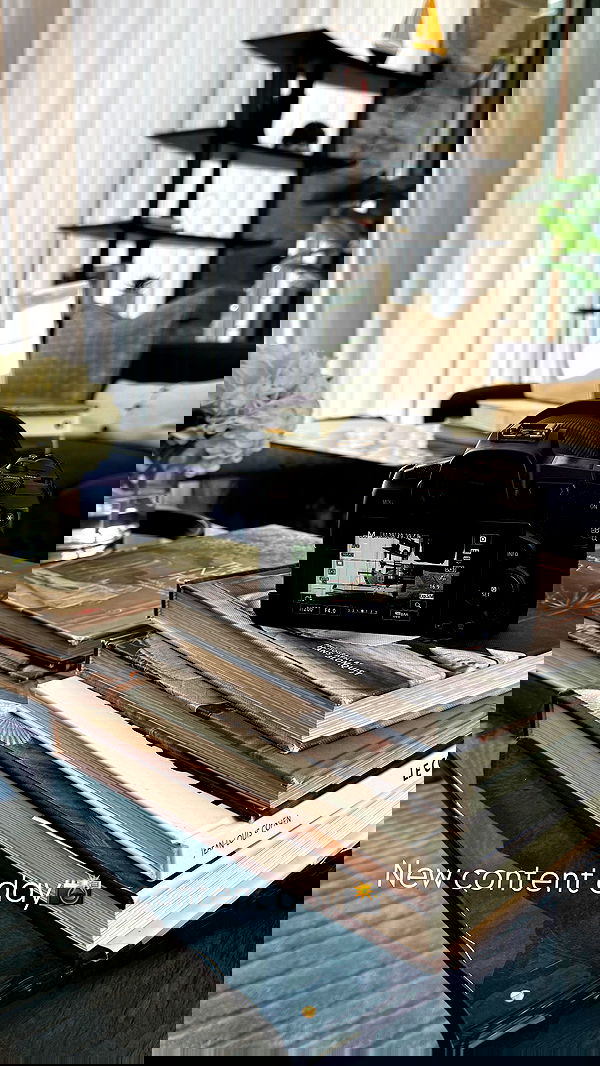 shira_adar_ shira_adar_ archive image