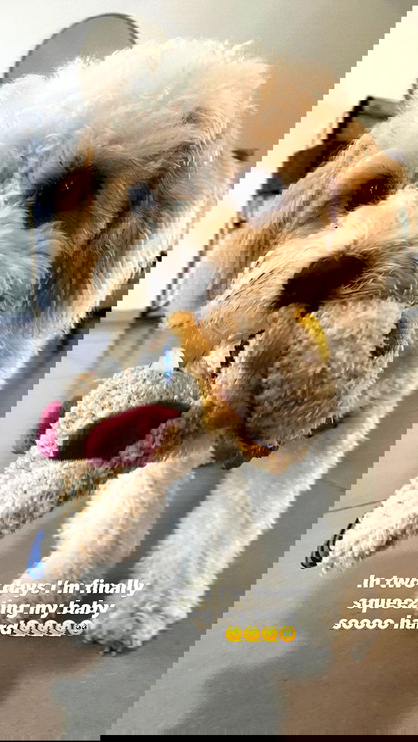 shira_adar_ shira_adar_ archive image