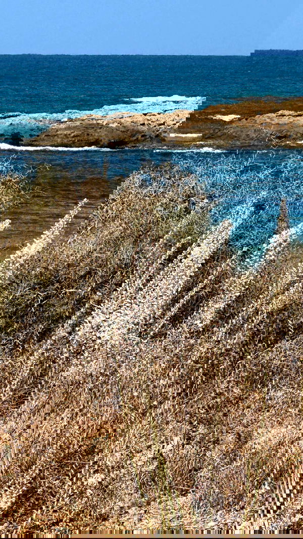 shira_adar_ shira_adar_ archive image