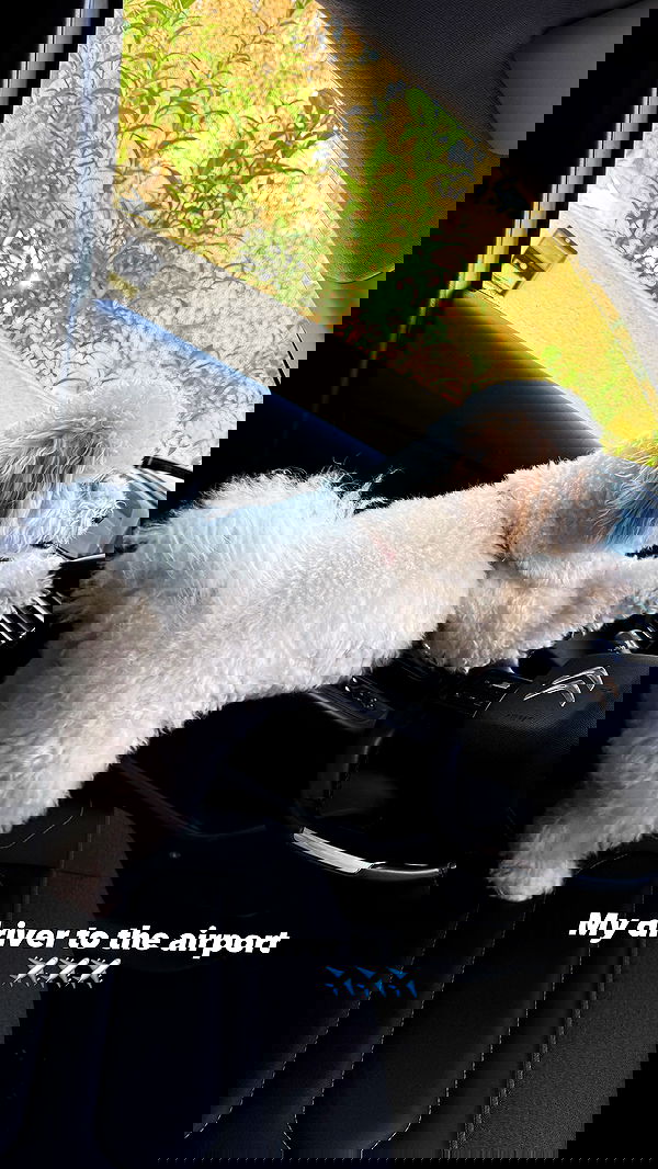 shira_adar_ shira_adar_ archive image