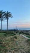 shira_asaf Altpins Profile Picture