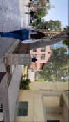 shira_asaf Altpins Profile Picture