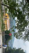 shira_asaf Altpins Profile Picture