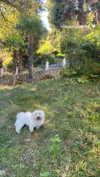 shira_asaf Altpins Profile Picture
