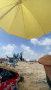 shira_asaf Altpins Profile Picture