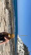 shira_asaf Altpins Profile Picture