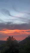 shira_asaf Altpins Profile Picture