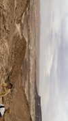 shira_asaf Altpins Profile Picture