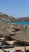 shira_karvat Altpins Profile Picture