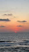 shira_or_adar_ Altpins Profile Picture