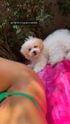 shira_or_adar_ Altpins Profile Picture