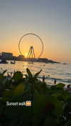 shira_or_adar_ Altpins Profile Picture