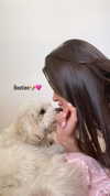 shira_or_adar_ Altpins Profile Picture