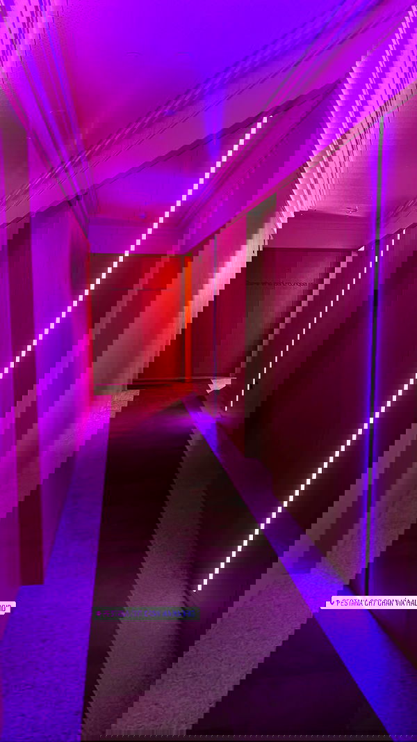 shirakor_ shirakor_ archive image