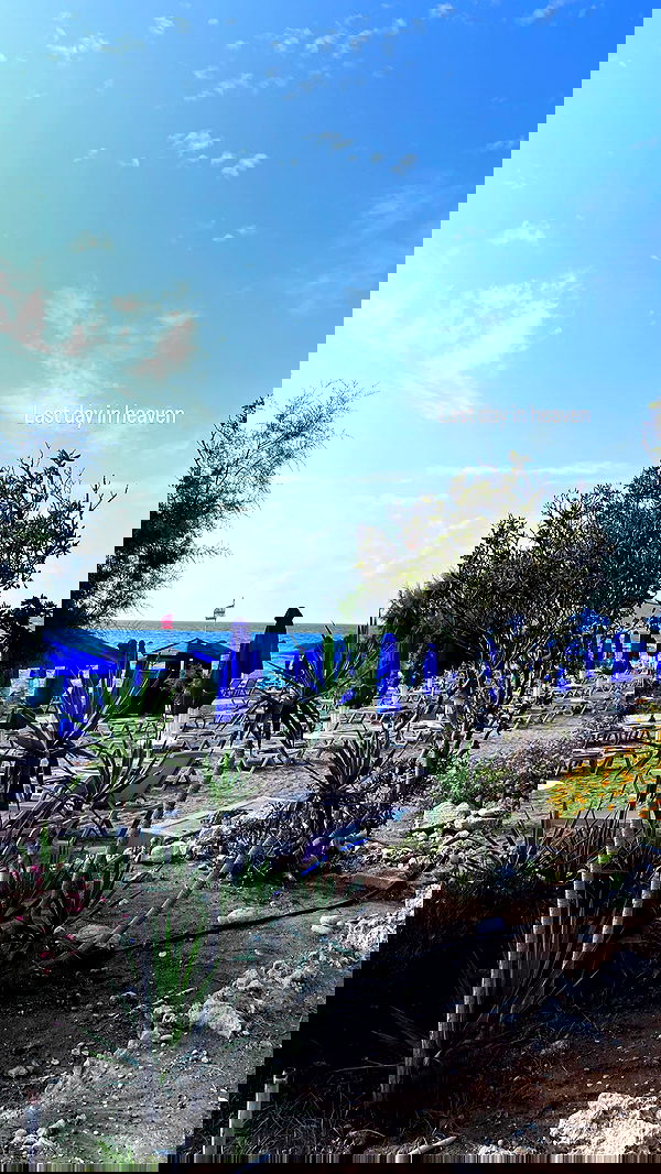 shirakor_ shirakor_ archive image