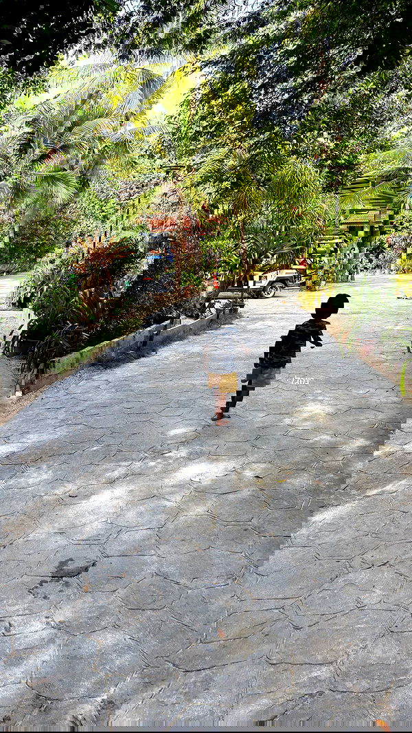 shirakor_ shirakor_ archive image