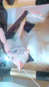 shiramansurii Altpins Profile Picture