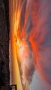 shirel.varol Altpins Profile Picture