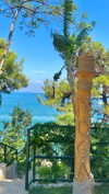 shirel.varol Altpins Profile Picture