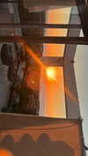 shirel.varol Altpins Profile Picture