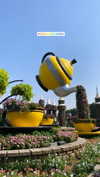 shirin_danin Altpins Profile Picture