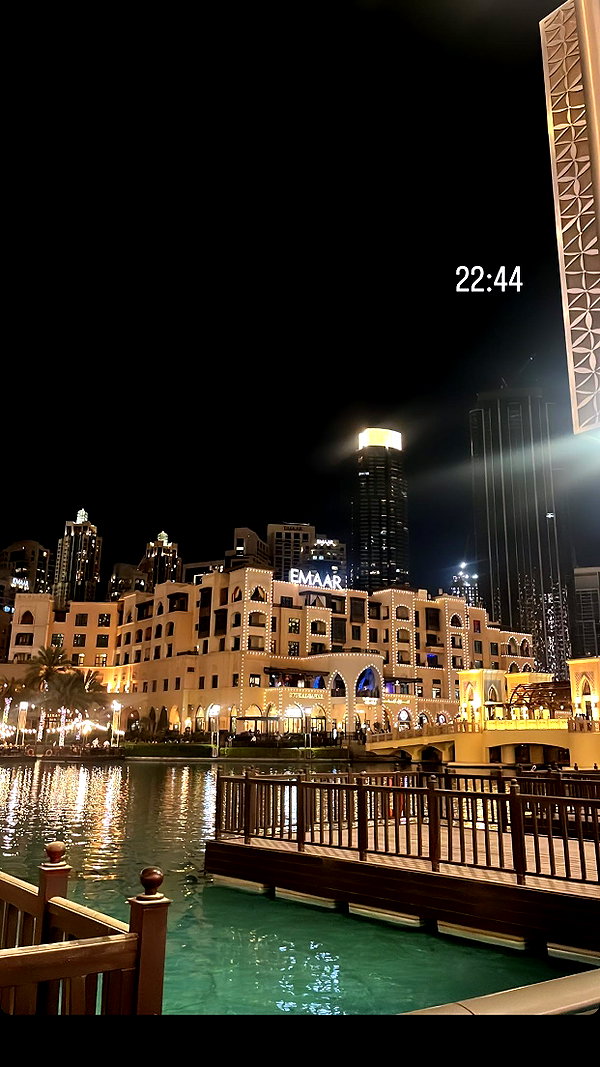 shirin_danin instagram image archive image