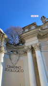 shirin_danin Altpins Profile Picture
