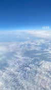 shirin_danin Altpins Profile Picture