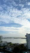 shirin_danin Altpins Profile Picture