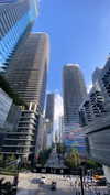 shirin_danin Altpins Profile Picture