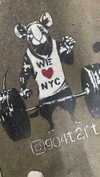 shirin_danin Altpins Profile Picture