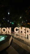 shirin_danin Altpins Profile Picture