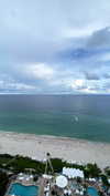 shirin_danin Altpins Profile Picture