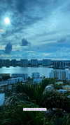shirin_danin Altpins Profile Picture