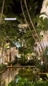 shirin_danin Altpins Profile Picture