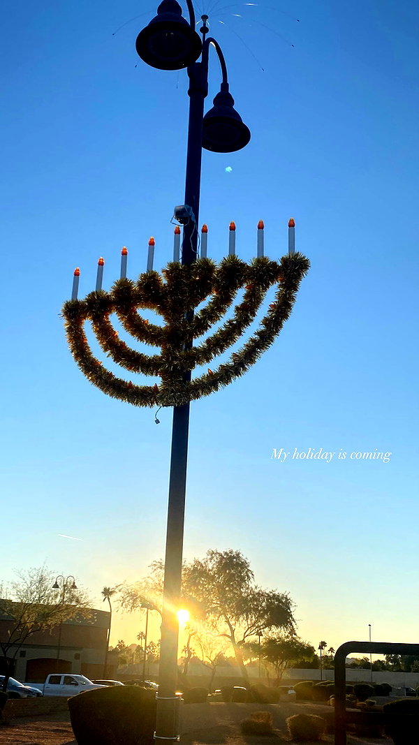 shirin_danin instagram image archive image