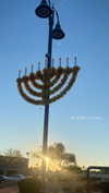 shirin_danin Altpins Profile Picture
