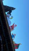 shirin_danin Altpins Profile Picture