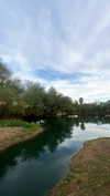 shirin_danin Altpins Profile Picture