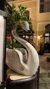 shirin_danin Altpins Profile Picture