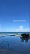 shirin_danin Altpins Profile Picture