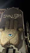 shirin_danin Altpins Profile Picture