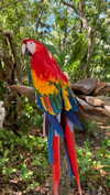 shirin_danin Altpins Profile Picture