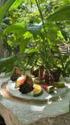 shirin_danin Altpins Profile Picture