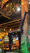 shirin_danin Altpins Profile Picture