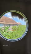shirin_danin Altpins Profile Picture