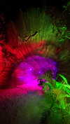 shirin_danin Altpins Profile Picture
