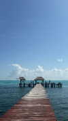 shirin_danin Altpins Profile Picture
